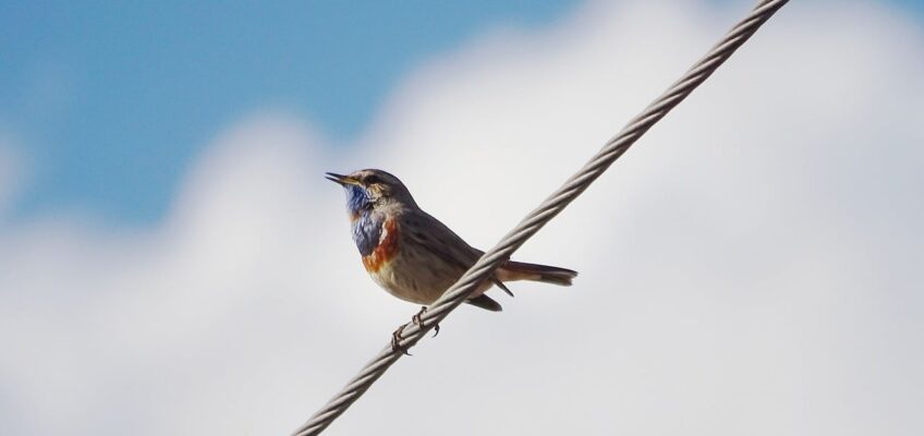 Le mouvement de la pensée