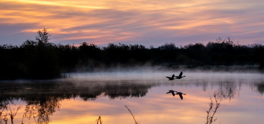 Une surprenante découverte