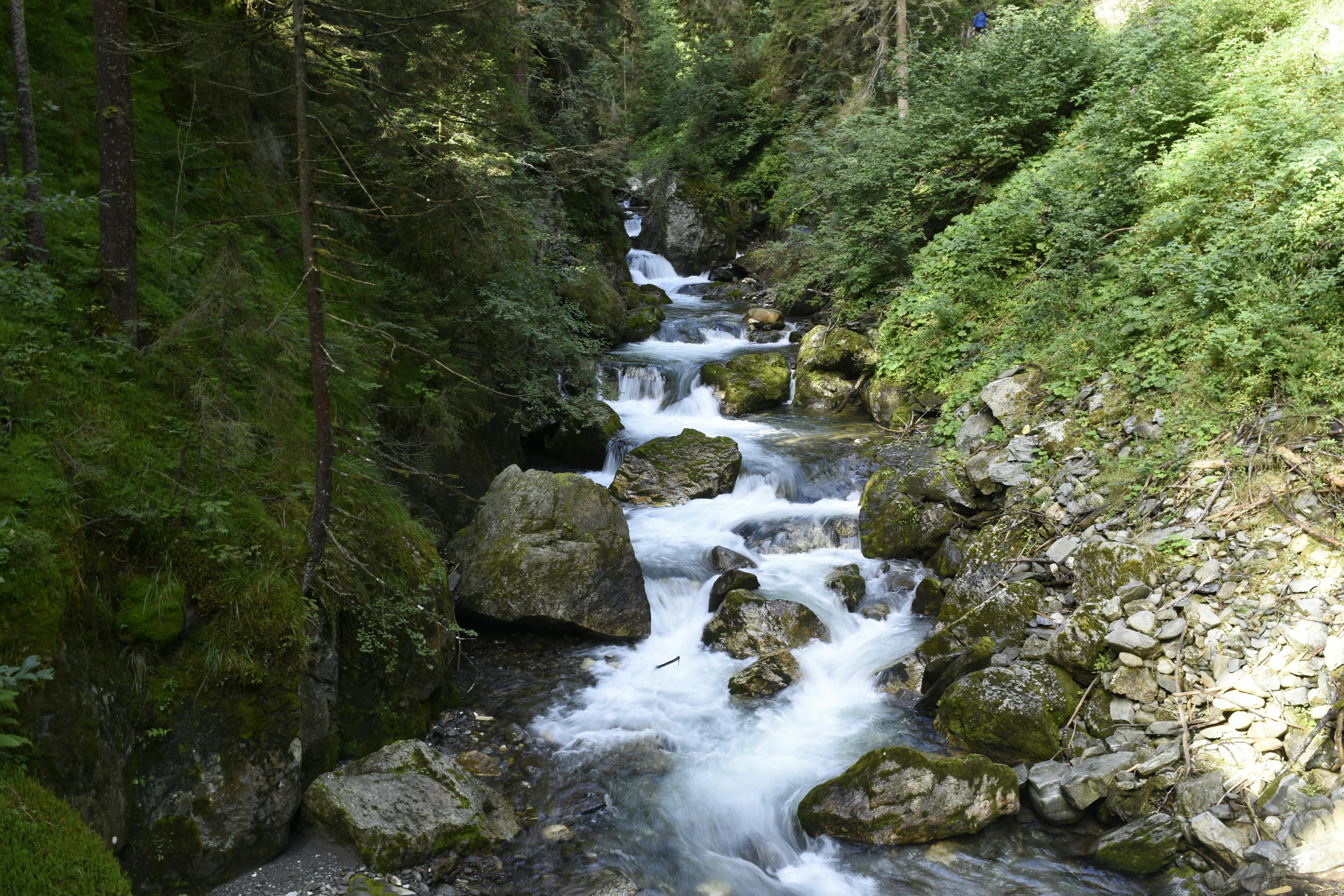 Album Concert de la nature